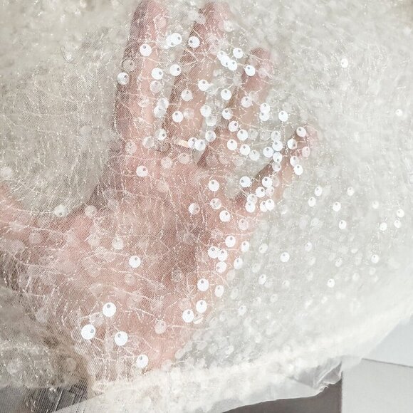 JASON WU Cream Ivory Sheer See Through Sequin Skirt Size 10 - Picture 5 of 7